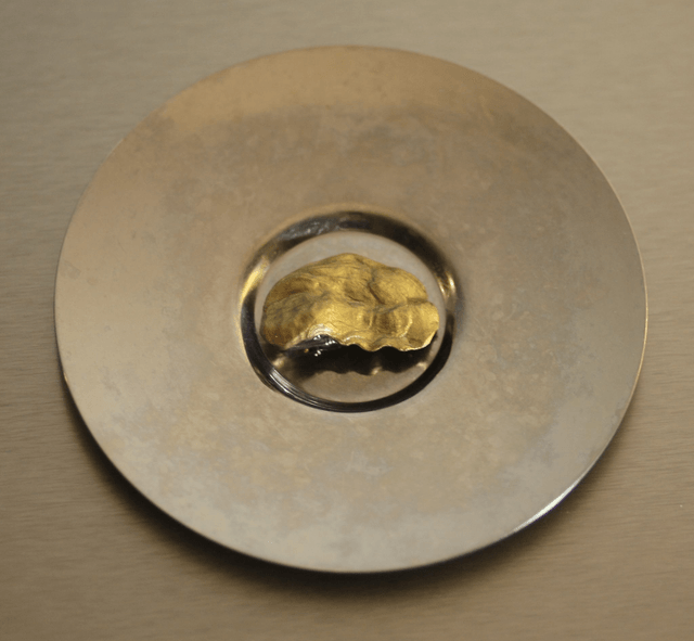 'gold' hairclip