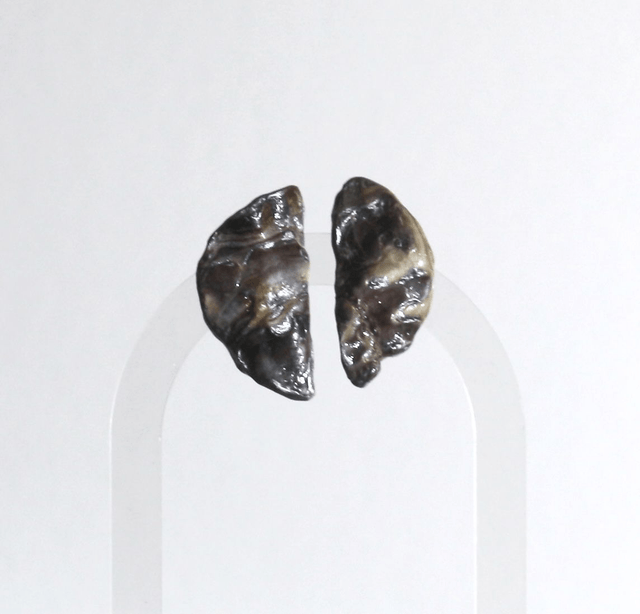 'eclipse' earrings