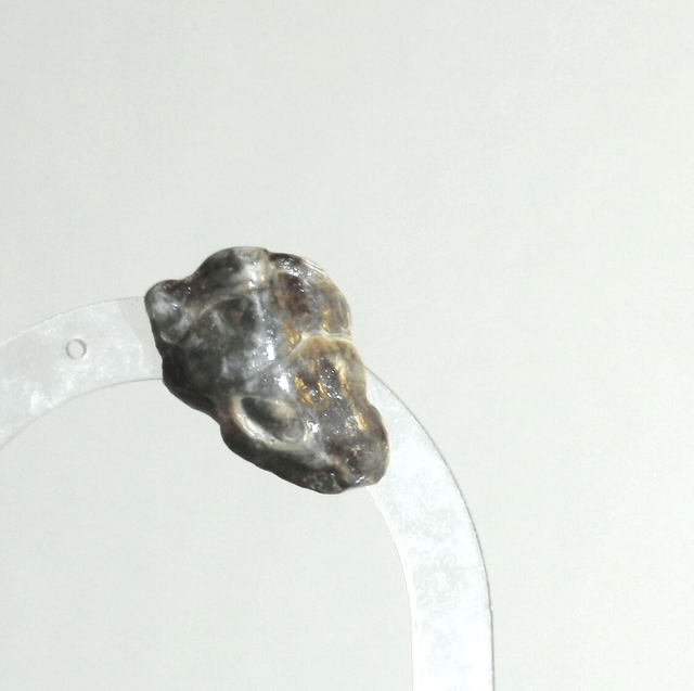 'eclipse wing' mono earring