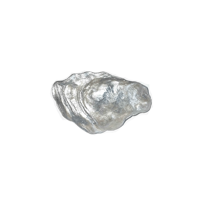 'écaille' hairclip