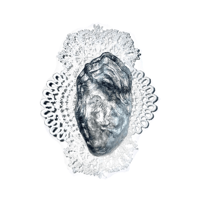 &#039;douce écume&#039; hairclip