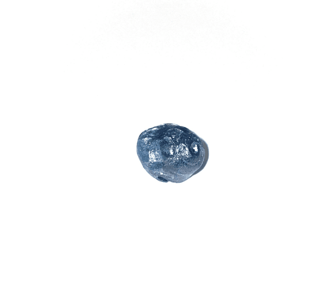 &#039;snail&#039; mono earring