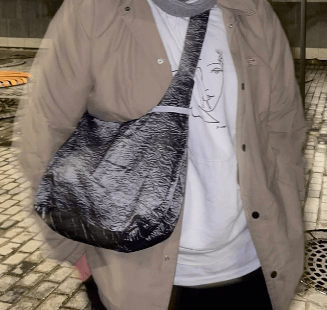 highlights shoulder bag